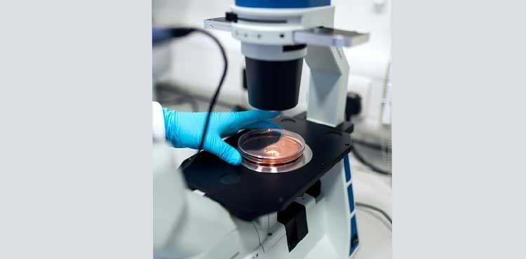 Tesamorelin and Growth Hormone – Releasing Peptide Research