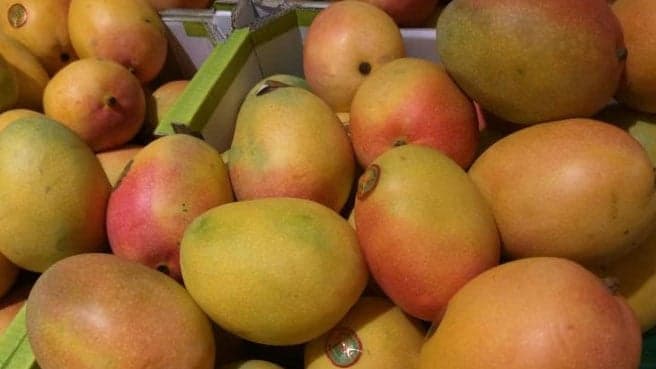 After Japan, now Nepal has also banned Indian mangoes